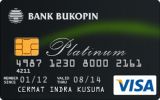 Bukopin Visa Platinum