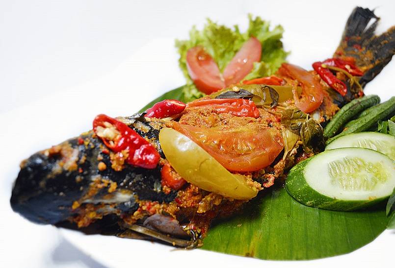 Ikan Patin