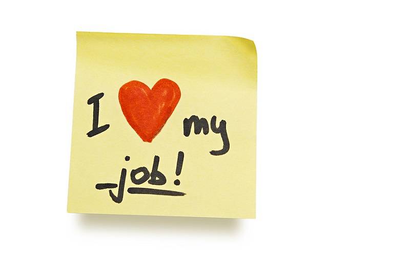 Cintailah Pekerjaan Anda 