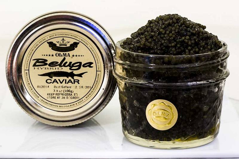 Caviar Beluga - Caviar Termahal