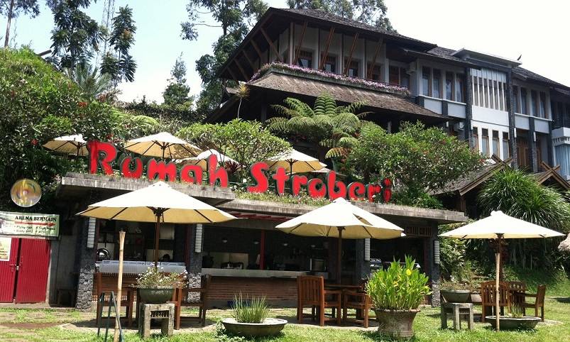 Rumah Strawberry