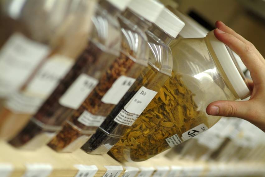 Cari Pengobatan Preventif