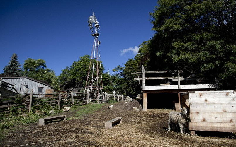 Peternakan Riverdale